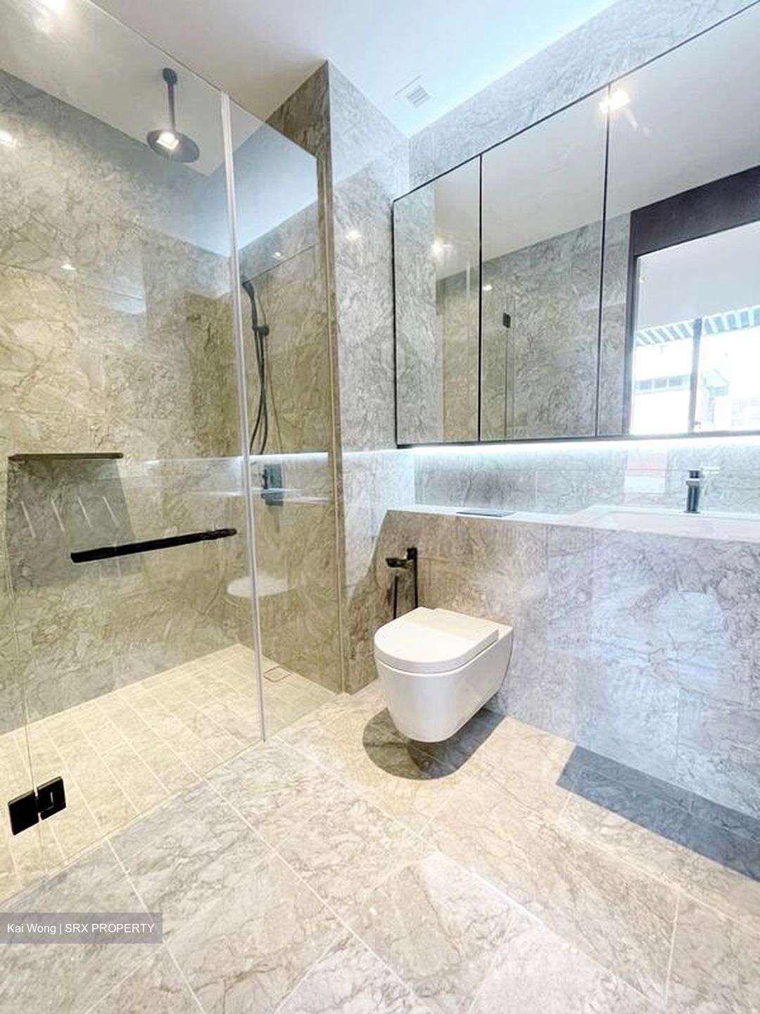 Jervois Privé (D10), Apartment #512592351